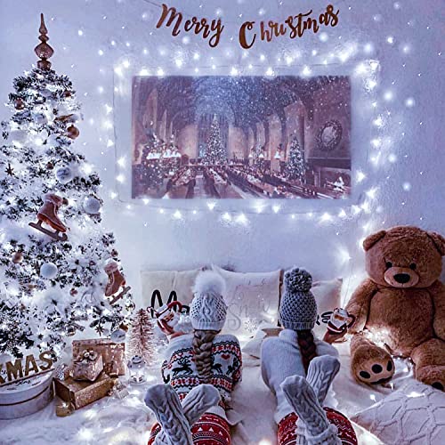 168FT 600 LED White Christmas Lights Outdoor with Remote (168 Foot)
