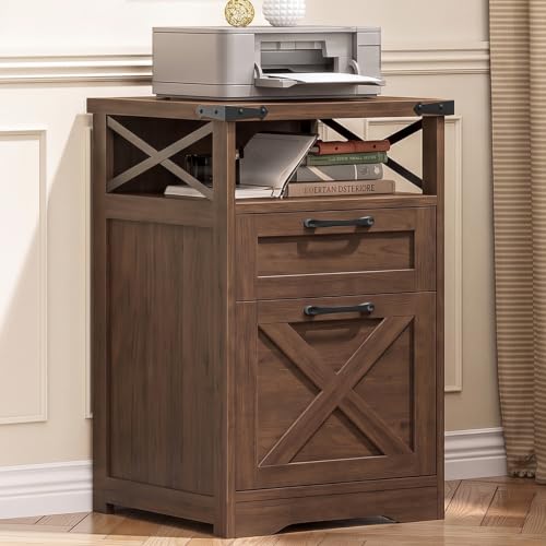 Office Filing Vertical Cabinet with 2 Drawers