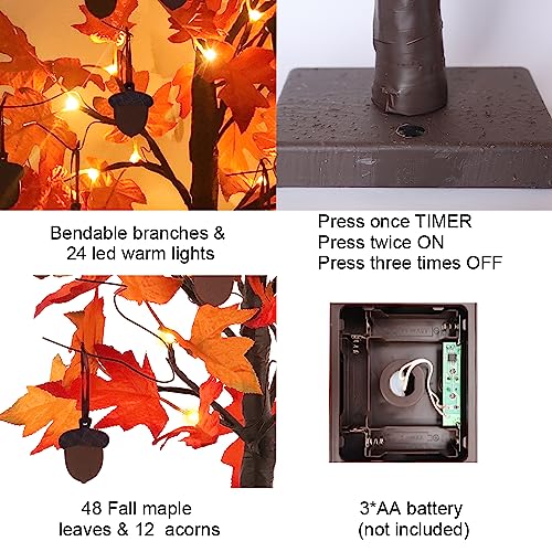 Fall Decorations for Home