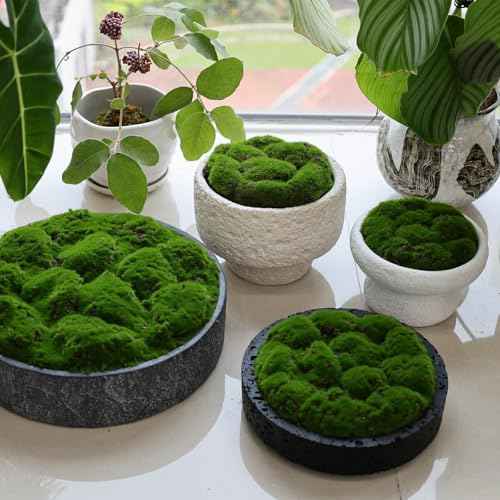 New Moss Bowl