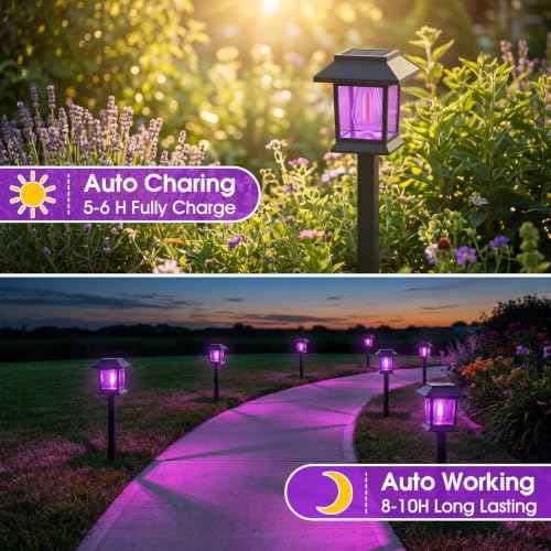 Solar Lights Outdoor