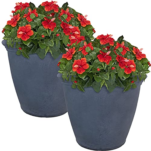 Sunnydaze Anjelica 20'' Large Plastic Planter Pot for Plants (2 Count)