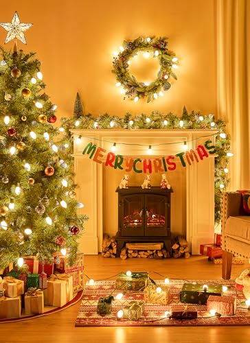 25Ft Christmas Lights Outdoor (25 Count)