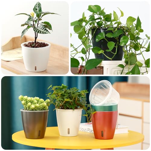 Self Watering Pots for Indoor Plants (8 Count)