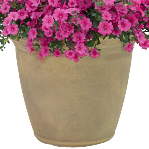 Sunnydaze Anjelica 15.25'' Large Plastic Planter Pot for Plants