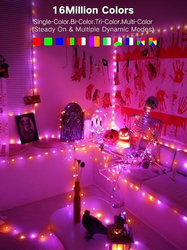 Smart Fairy Lights Color Changing (10 Foot)