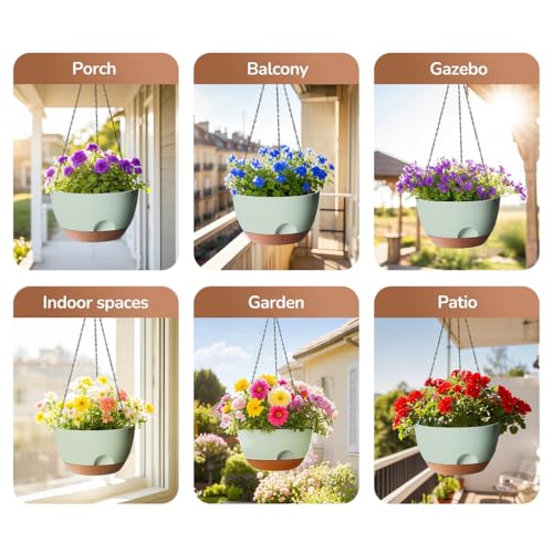 Hanging Planter for Indoor Plants (2 Count)