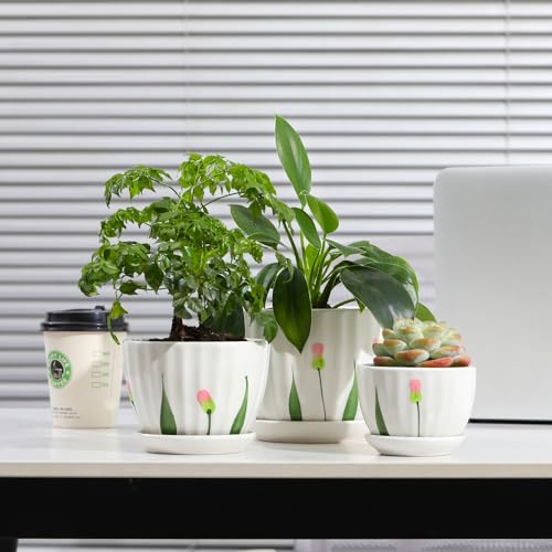 Ceramic Plant Pots with Saucers (3 Count)