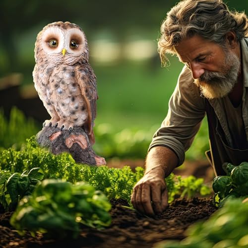Owl Statue Outdoor