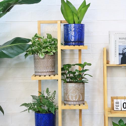 6 Inch Indoor Plant Pots with Drainage Holes and Saucers (2 Count)