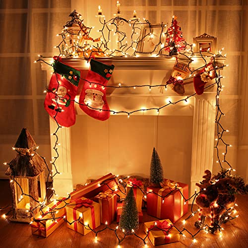 Clear Christmas Lights (75 Foot)