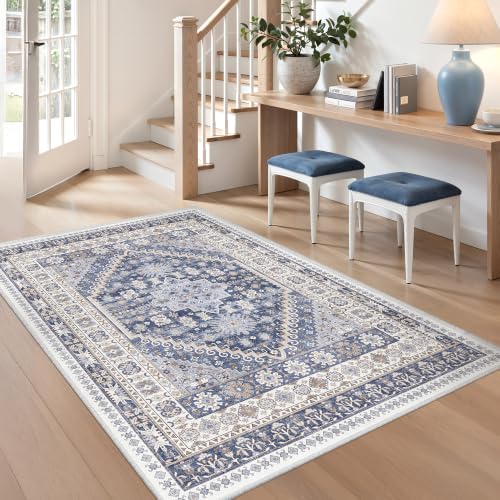 3x4 Rugs for Entryway (12 Sq Ft)