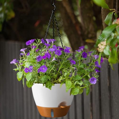 12 Inch Hanging Planters for Indoor Outdoor Plants (2 Count)