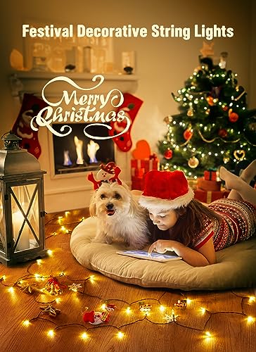 Battery Operated Christmas String Lights with Timer 2 Pack (2 Count)