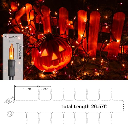 Orange & Purple Halloween Lights (25 Foot)