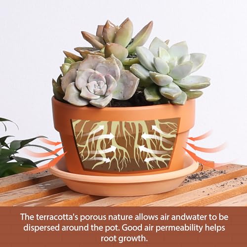 5 Inch Terracotta Shallow Pots Set with Saucer (6 Count)