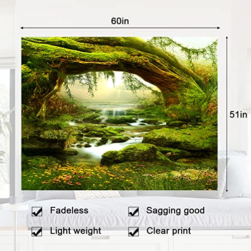 Forest Landscape Home Decor