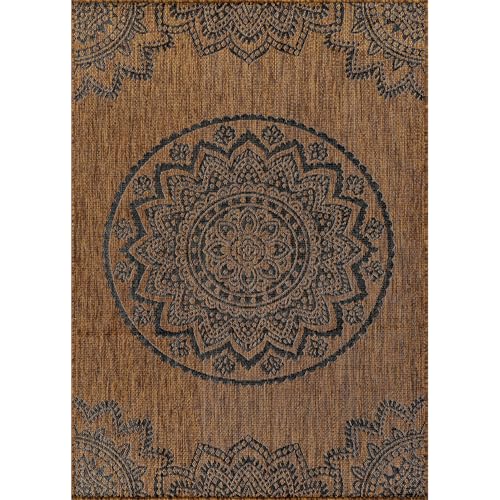 Outdoor Rug 6x9 Modern Area Rugs for Indoor and Outdoor Patios and Porches