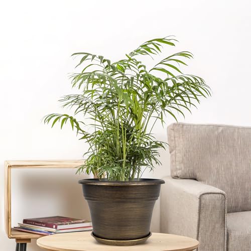 Plant Planters Pots Set of 6 Pack 6 Inch (6 Count)