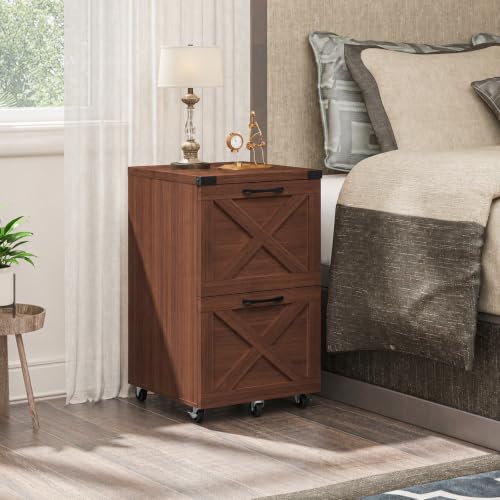Farmhouse File Cabinet with Lock & 2 Drawers