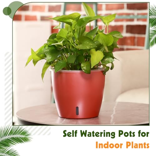 Self Watering Pots for Indoor Plants (4 Count)