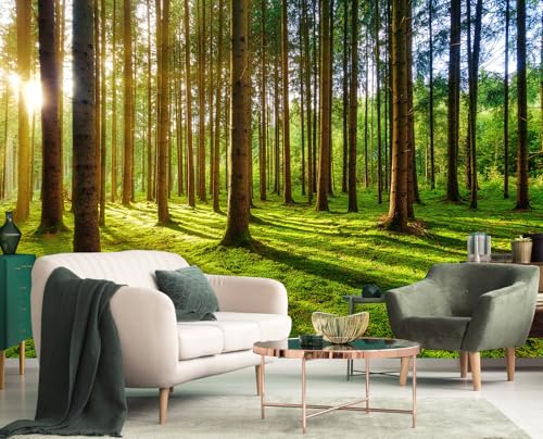 Sunshine Green Forest Woodland Wallpaper Wall Mural