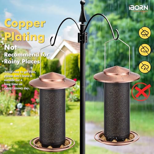 Bird Feeders for Outdoors