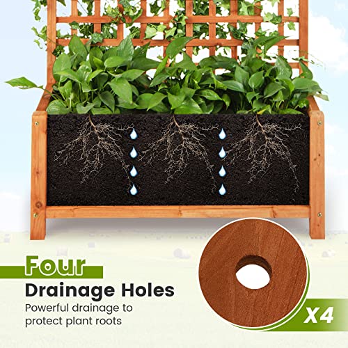 2 Pcs Raised Garden Bed with Trellis (2 Count)