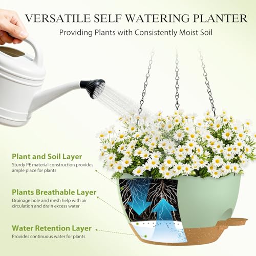 10 Inch Hanging Baskets 2 PC with Chains (2 Count)