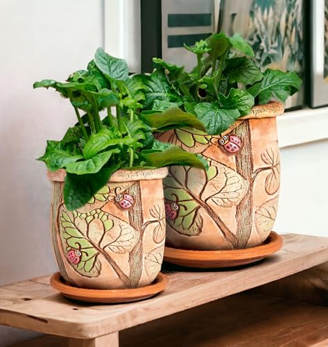 Ceramic Pot with Drainage Hole and Saucer