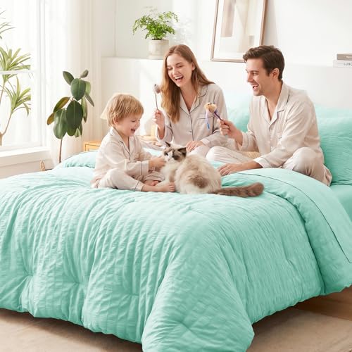 Queen Comforter Set