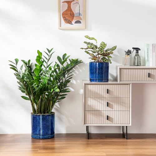 Ceramic Planters (3 Count)