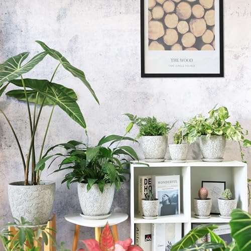 10inch Retro Ceramic Planter with Drainage Hole and Saucer for Multiple Plants