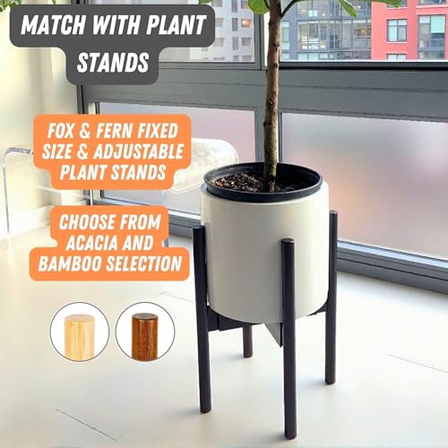 Large Planter for Indoor or Outdoor