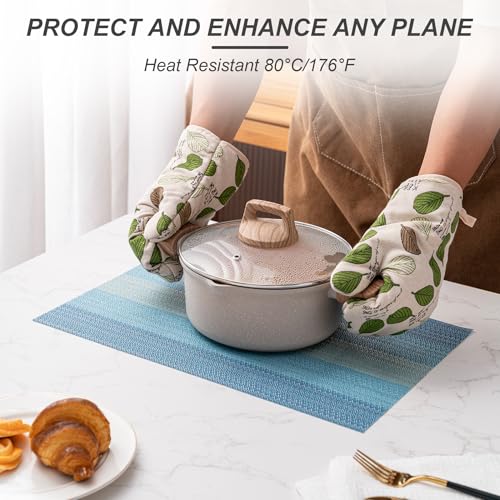 Placemats Set of 4 Washable Indoor (4 Count)