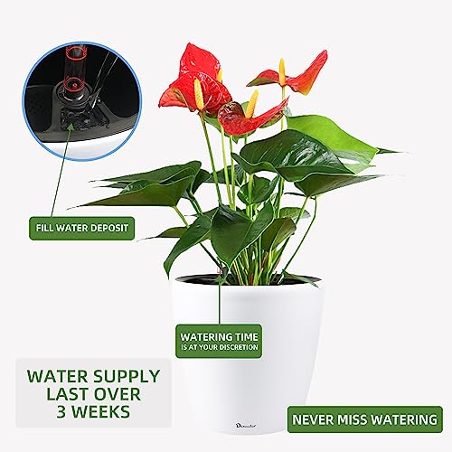 13x12 Self Watering Planter with Wheels