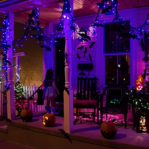 Halloween Fairy String Lights (20 Foot)