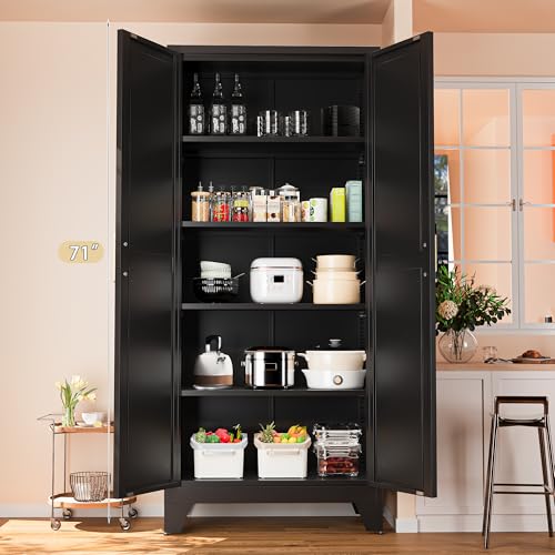 71'' Farmhouse Metal Storage Cabinet with Barn Doors