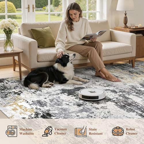 8x10 Area Rug for Living Room (24 Count)