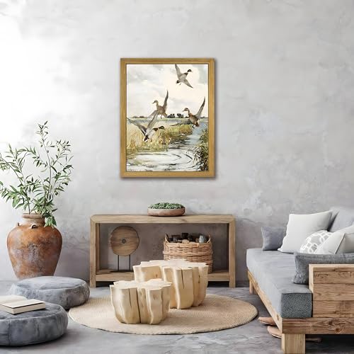 Framed Vintage Duck Wall Art Print