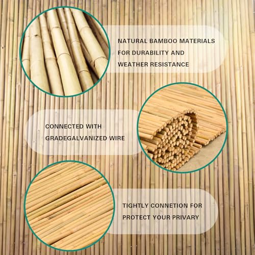 Natural Bamboo Fence 3ft H x 8ft L x 0.7In D