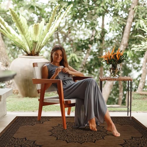 Outdoor Rug Modern Area Rugs for Indoor and Outdoor Patios (58.5 Sq Ft)