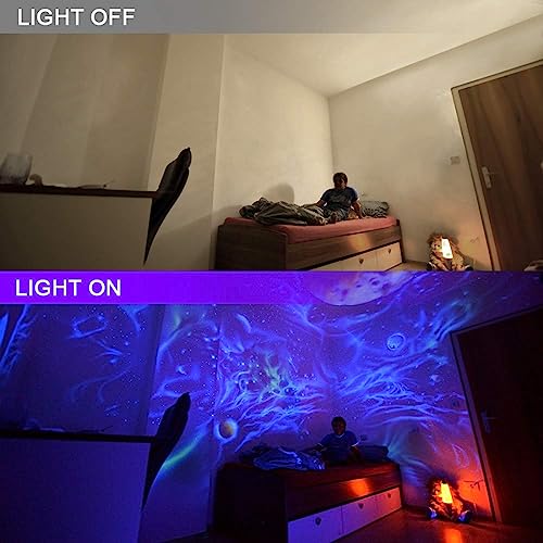 Black Light 30W LED Blacklight Flood Light Outdoor for Glow Party (4 Count)