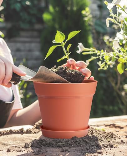 6 Inch Plastic Plant Pots with Drainage Holes and Trays (16 Count)
