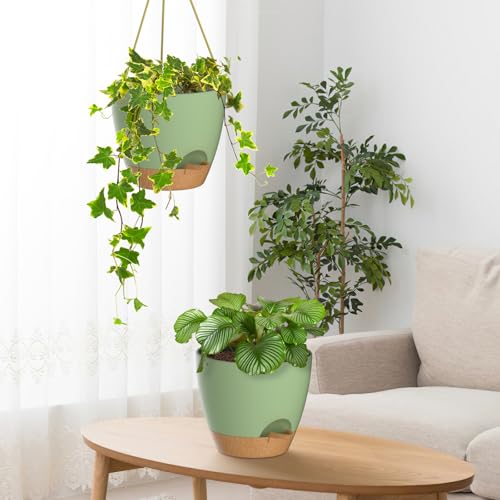 6.5 Inch Hanging Planters for Indoor Outdoor Plants (2 Count)