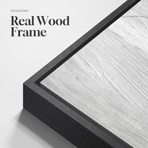Framed Black and White Modern Abstract Wall Art