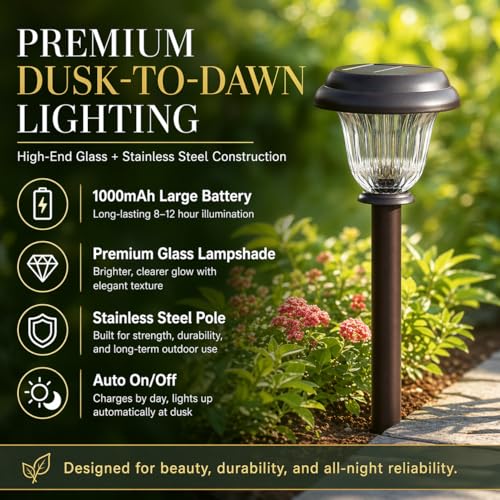 Solar Lights Outdoor (6 Count)