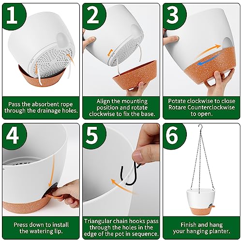 10 Inch Self Watering Hanging Planter (2 Count)