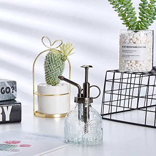 Glass Plant Mister Spray Bottle