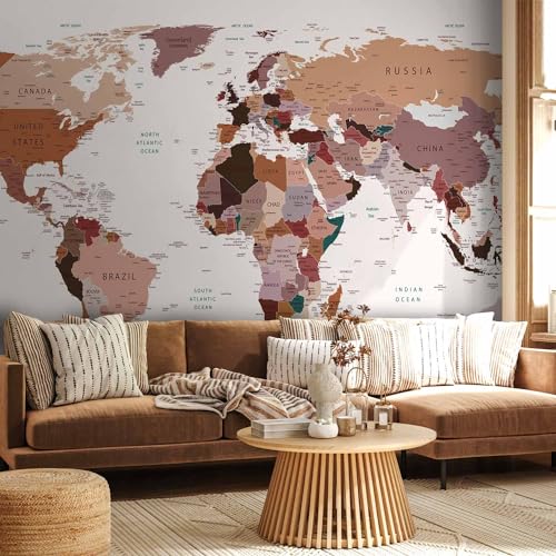 Wall Mural World Map 154x110 in (118.18 Sq Ft)